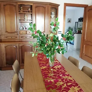 L Agrifoglio Di Rita Loddo Fonni
